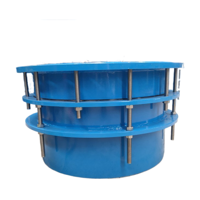 Single_Flange_Dismantling_Joint_On_Site