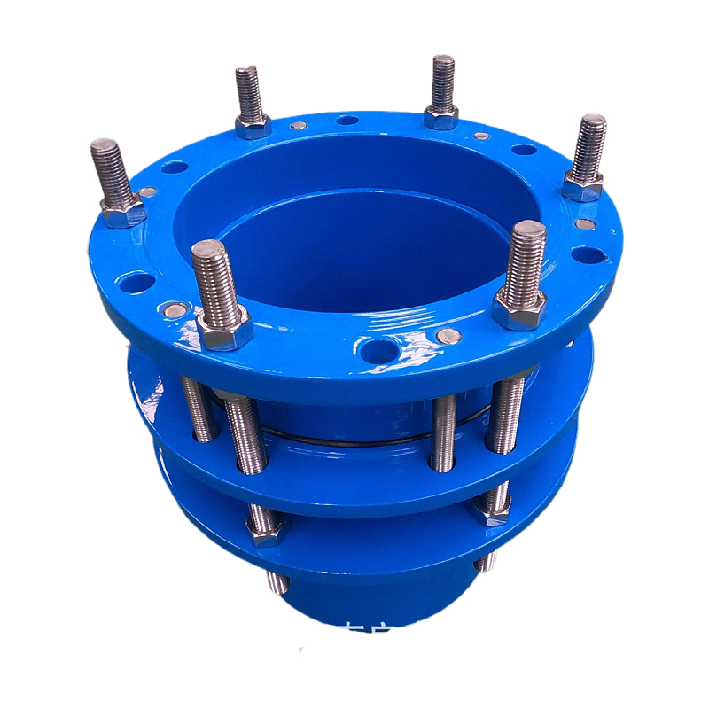 Single_Flange_Dismantling_Joint_Type1