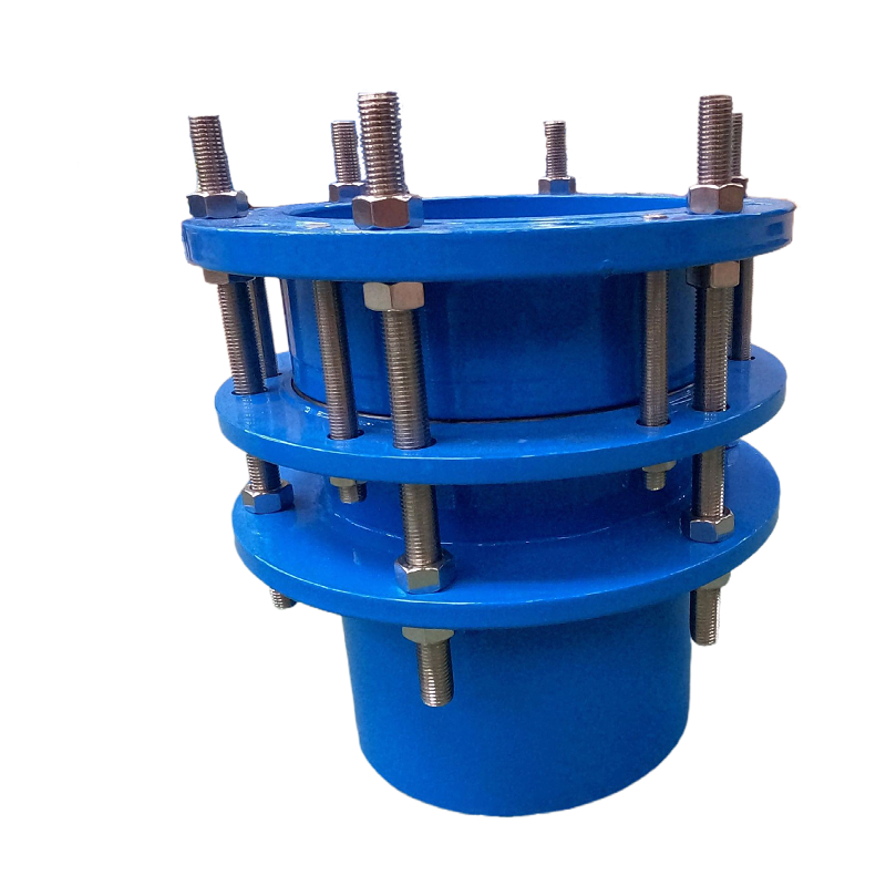 Single_Flange_Dismantling_Joint_Type2